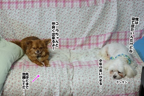 おはようございまふ