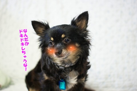 おやすみ前に・・・
