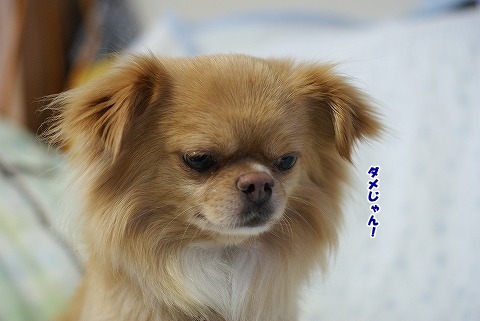 作って見よう！失敗編