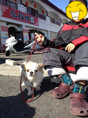 まめたん！久しぶり～
