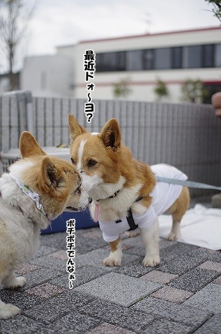 家族探しの会開催しました！