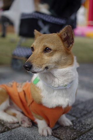 家族探しの会開催しました！