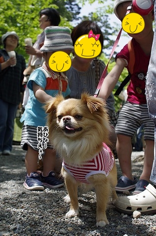 コトコト市で、こんにちWan