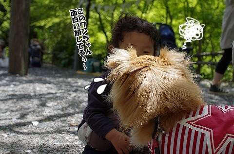 コトコト市で、こんにちWan