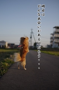 寒い・・・