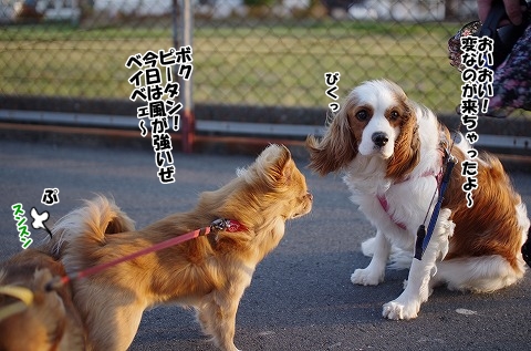 今日の出来事　その①