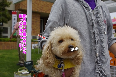 遊びに来てくれて嬉しいワン！