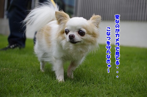 遊びに来てくれて嬉しいツゥ～！