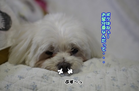 明日の為