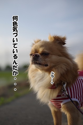 色づき