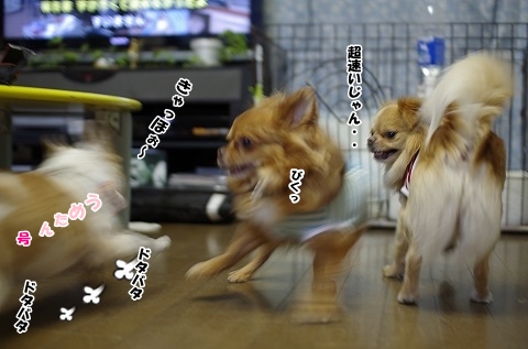 しめり