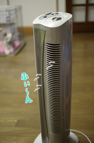 しめり