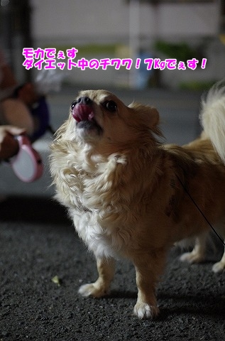 ディナーデート
