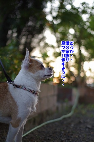 うめたん！