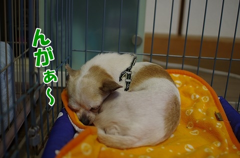 飛翔　～旅立ち～