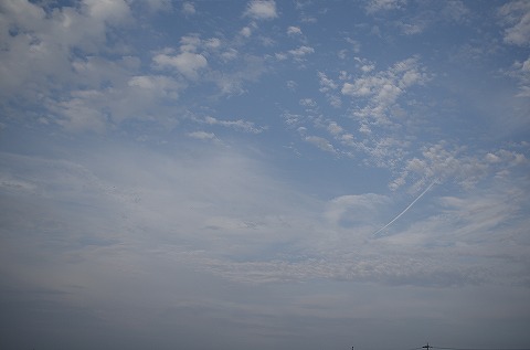 日本の夏　・　鈴カステラの夏