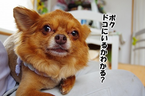 可愛いかな？