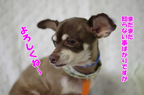 ソルトでぇ～す！