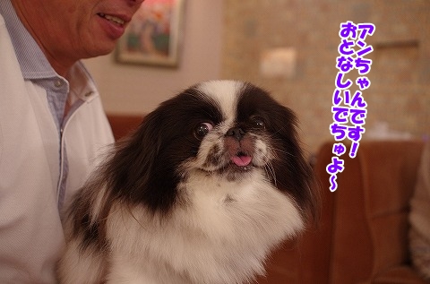 午前様