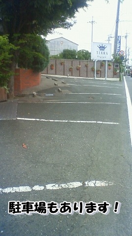 ミミの耳譲渡会情報