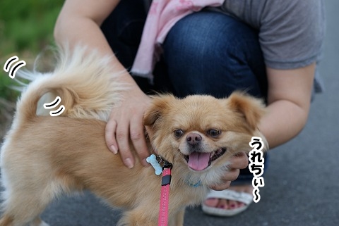 お散歩