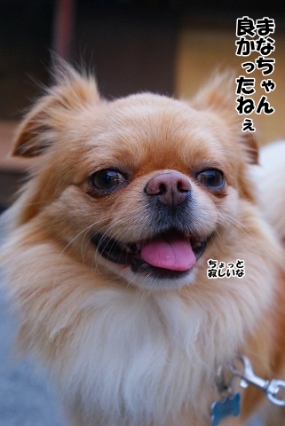 お見合いへ！