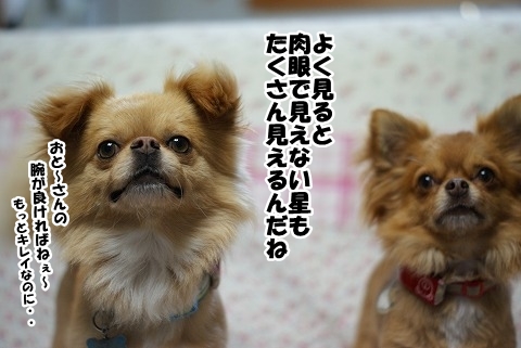 天体ｓｈｏｗ