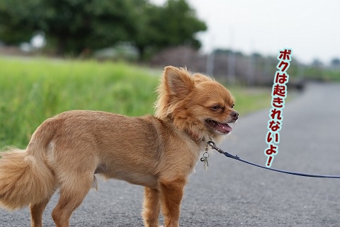 今宵