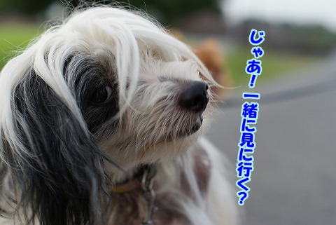 今宵