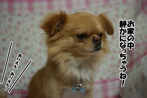良い事あるかな