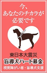 行きたい時に、行きたい場所へ、行きたい。