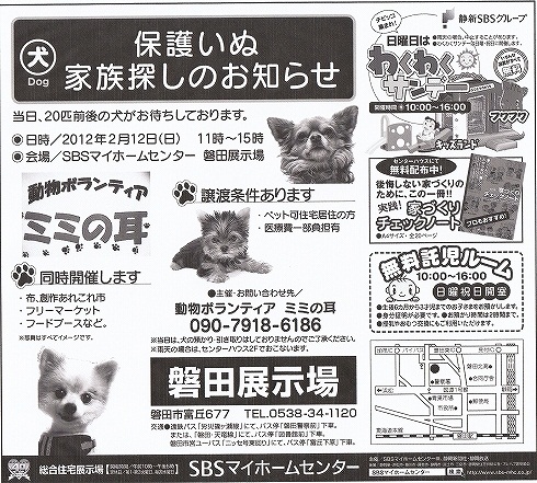 ミミの耳　譲渡会のお知らせ