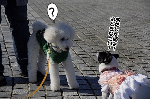 お散歩会　最終章