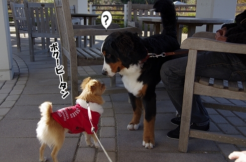 お散歩会　最終章