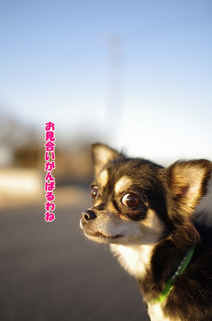 あったかいかな？