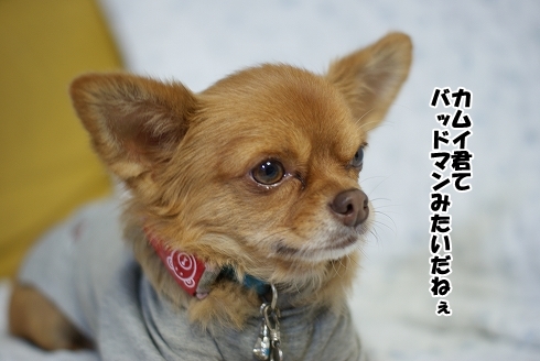 宜しくね！