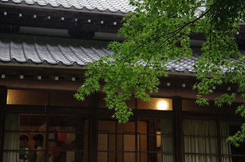 コトコト市