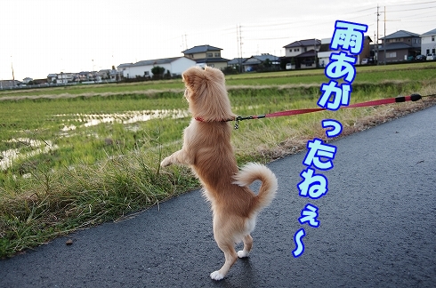 おはよ～