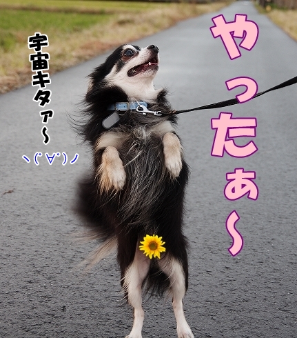おはよ～
