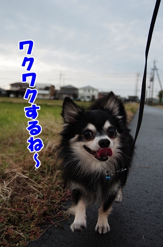 おはよ～
