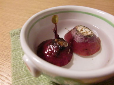 芽がでましたぁ～