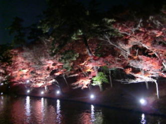 岡崎まで紅葉ドライブ！