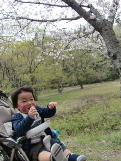 お花見in佐鳴湖公園