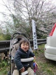 鳥羽山公園へお花見
