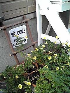 お庭もちょこっと秋模様♪