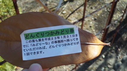 落ち葉のプール♪