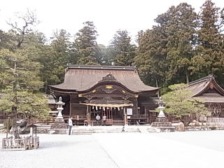 小国神社へお花見行ったけれど・・・