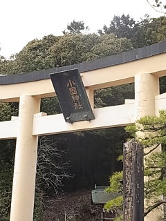 小国神社へお花見行ったけれど・・・