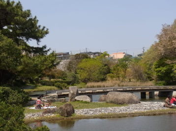 佐鳴湖公園の桜