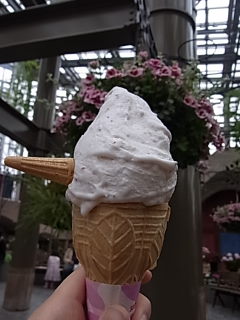 初めてのデンパークへ！！